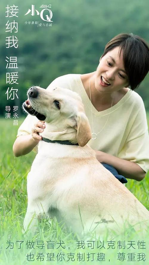 塞舌尔身份证怎么买高仿